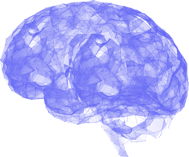 brain-blue-img